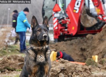 V nitrianskom parku policajti našli 200 kostí, neboli ľudské