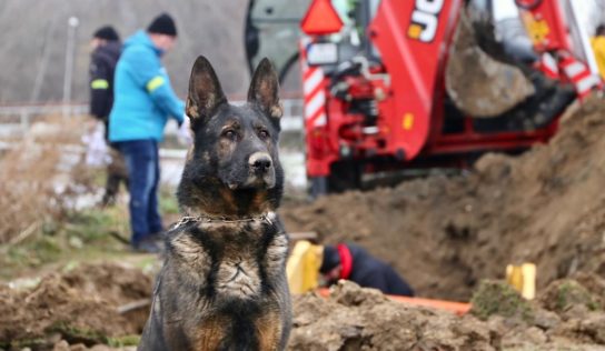 V nitrianskom parku policajti našli 200 kostí, neboli ľudské