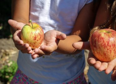 Nitrianske školy sa zapoja do projektu o zdravšom stravovaní