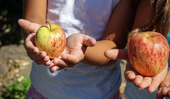 Nitrianske školy sa zapoja do projektu o zdravšom stravovaní