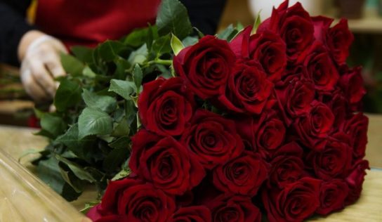 Deň žien z pohľadu histórie: Ako sa oslavuje MDŽ dnes