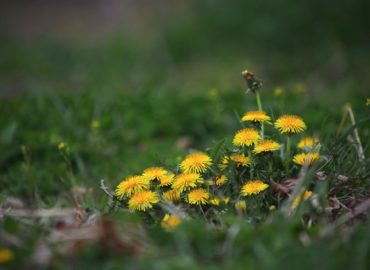 Predpoveď počasia: Apríl ukončí aprílové počasie