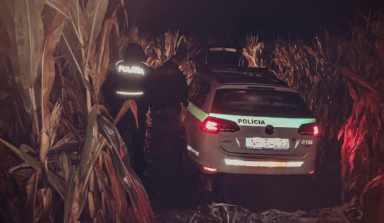 Policajná naháňačka: Sledovaný muž skončil s autom v kukuričnom poli