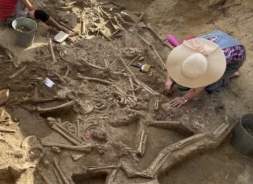 Archeológovia vo Vrábľoch postupne odkryli hroby s ľudskými kostrami. Takmer všetkým chýbala lebka