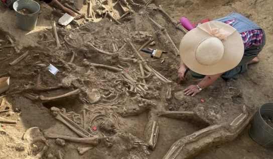Archeológovia vo Vrábľoch postupne odkryli hroby s ľudskými kostrami. Takmer všetkým chýbala lebka