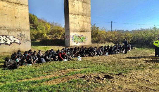 Policajti dnes pri Nitre zadržali takmer 100 migrantov. Vodič dodávky sa pokúsil ujsť do poľa