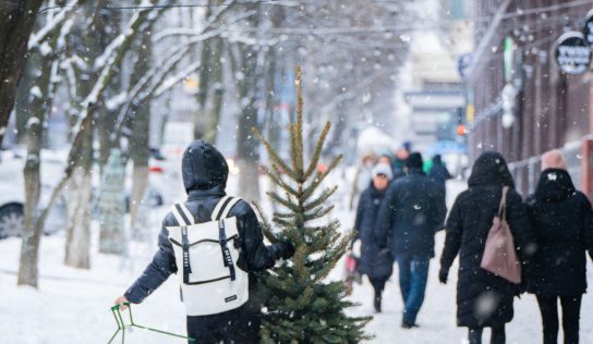 Predpoveď počasia: Budú tohtoročné vianočné sviatky so snehovou nádielkou?