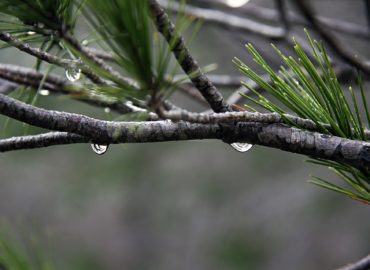 Predpoveď počasia: Slnečných dní ubudne, zrážok pribudne