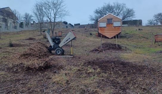 OZ Zoborské včely sa pripravuje na novú sezónu. Ponúkať chce aj prenocovanie v apidomčeku
