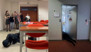 Sociálna kampaň s názvom Spolu s diabetikom