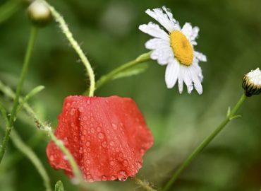 Predpoveď počasia: Nasleduje oblačný týždeň