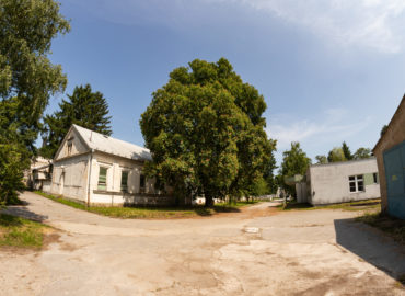 V ankete Strom roka súťaží aj 140-ročný pagaštan z Nitrianskeho kraja