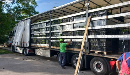 V najbližších týždňoch v Botanickej záhrade SPU pribudne početná výsadba