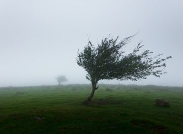 Na väčšine územia Nitrianskeho kraja očakávajú meteorológovia nárazový vietor