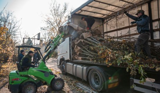 V uliaciach Nitry pribudne nová zeleň