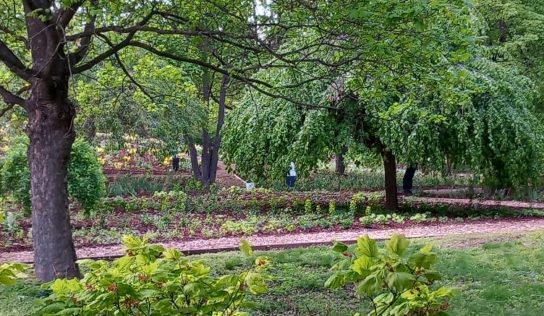 Botanická záhrada SPU sprístupnila verejnosti nový náučný chodník