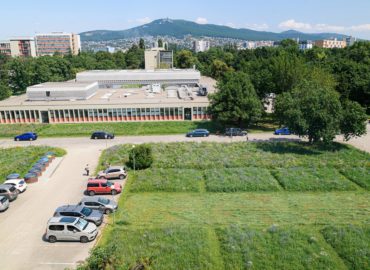 V areáli SPU zakvitli biodiverzitné lúky