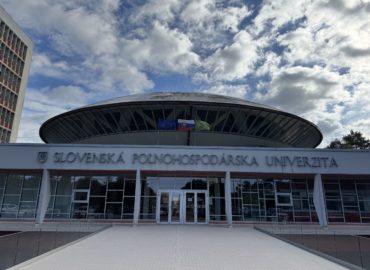 Leto plné vedy: SPU v Nitre opäť pripravuje Detskú letnú univerzitu