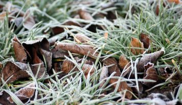 Predpoveď počasia: Mrazivé januárové noci nekončia