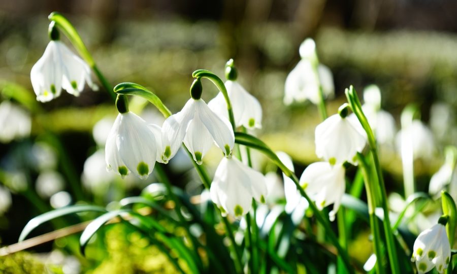 Predpoveď počasia: Prichádza oteplenie aj slnko