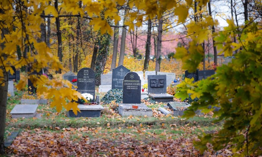 Mesto Nitra chce vylepšiť cintoríny. Vyjadrite svoj názor