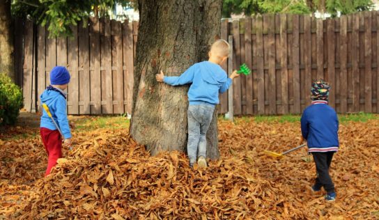 Predpoveď počasia: Do nového týždňa s daždivým pondelkom