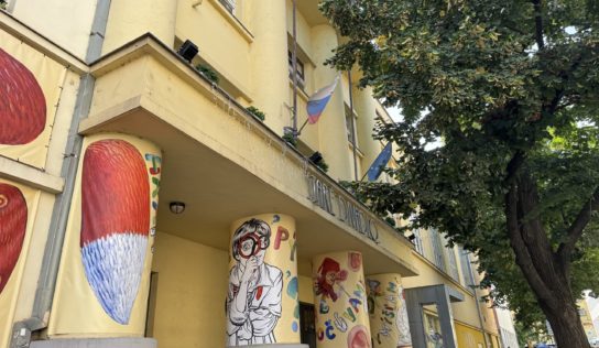 SDKS v Nitre predstavuje tvorbu Kataríny Vido Borguľovej