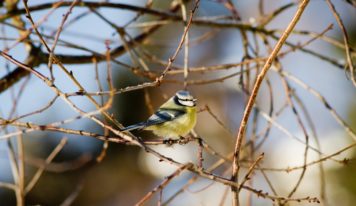 Predpoveď počasia: Sychravé jesenné dni pokračujú