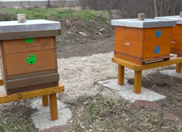 Združenie Zoborské včely plánuje vo včelnici postaviť nové educentrum