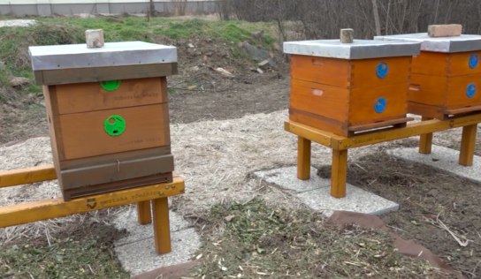Združenie Zoborské včely plánuje vo včelnici postaviť nové educentrum