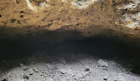 Neďaleko kultúrnej pamiatky Hrádok zdokumentovali pamiatkári nález lochu