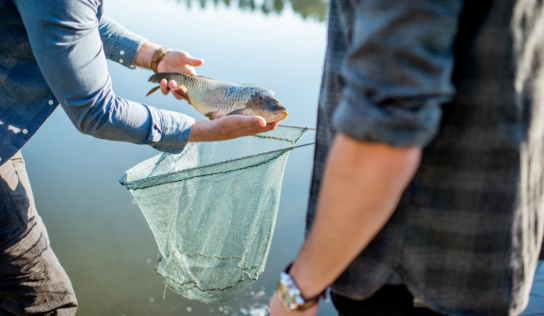 Slovenskí rybári vyjadrujú nespokojnosť s mimoriadnou členskou známkou