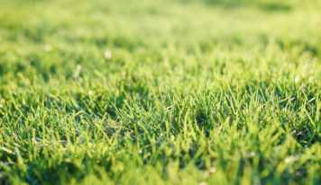 Mesto Nitra pripravuje revitalizáciu parku na Jarmočnej ulici