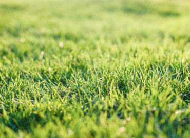 Mesto Nitra pripravuje revitalizáciu parku na Jarmočnej ulici