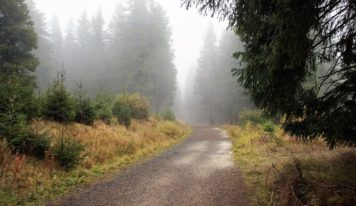 Predpoveď počasia: Čaká nás zamračený týždeň