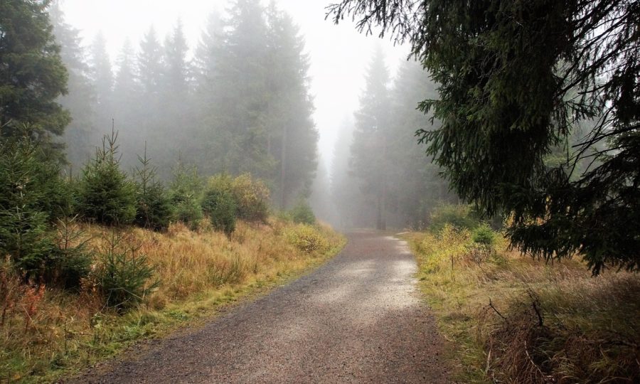 Predpoveď počasia: Čaká nás zamračený týždeň