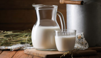 SPU hľadá dobrovoľníkov pre klinickú štúdiu zameranú na ovčie mlieko