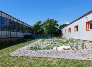 V areáli SPU vznikla dažďová záhrada